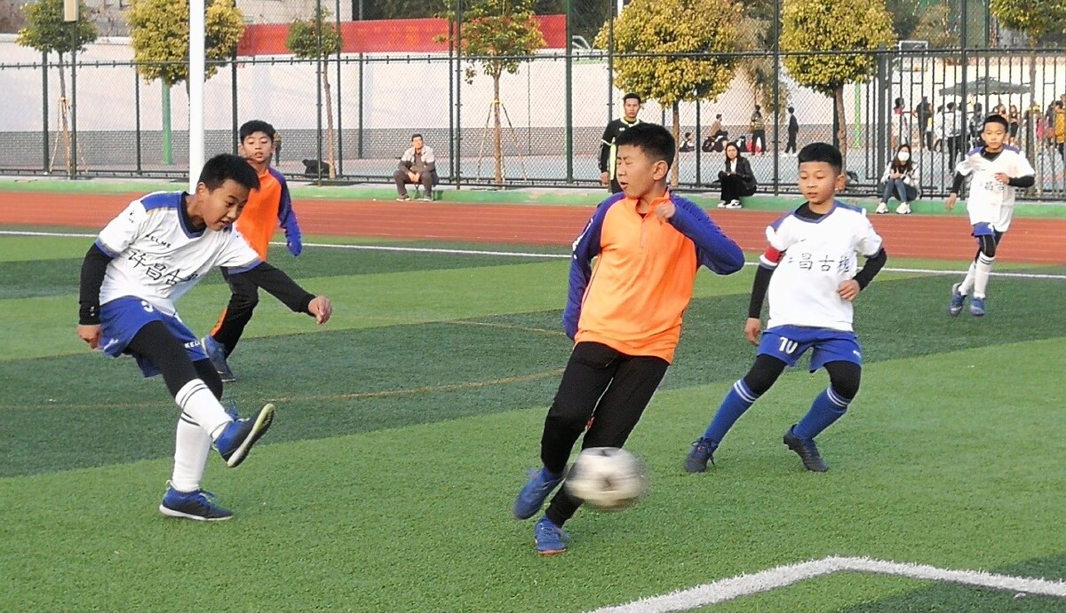 他们曾是中 他们曾是中