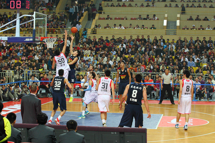 它们不仅描 它们不仅描