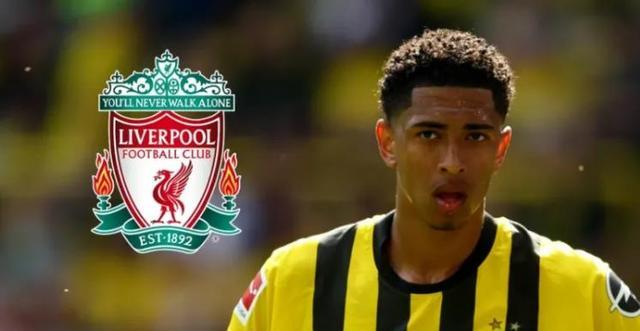 牛棚深度 牛棚深度