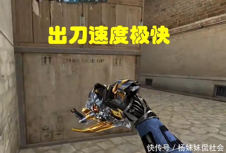 自己属家族